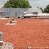 Extensive Dachbegrünung: ausgebrachtes Substrat